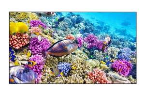  Фото видеостена 4x4 eliteboard 55" bk557ffle - фото 3