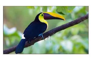  Фото видеостена 3x3 exell 46" expd-wa46ab05 - фото 3